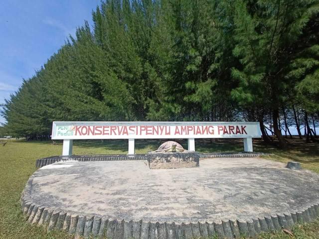 Ekowisata & Konservasi Penyu