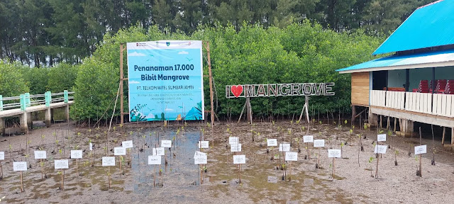 Gerakan Pelestarian Mangrove Nagari Amping Parak
